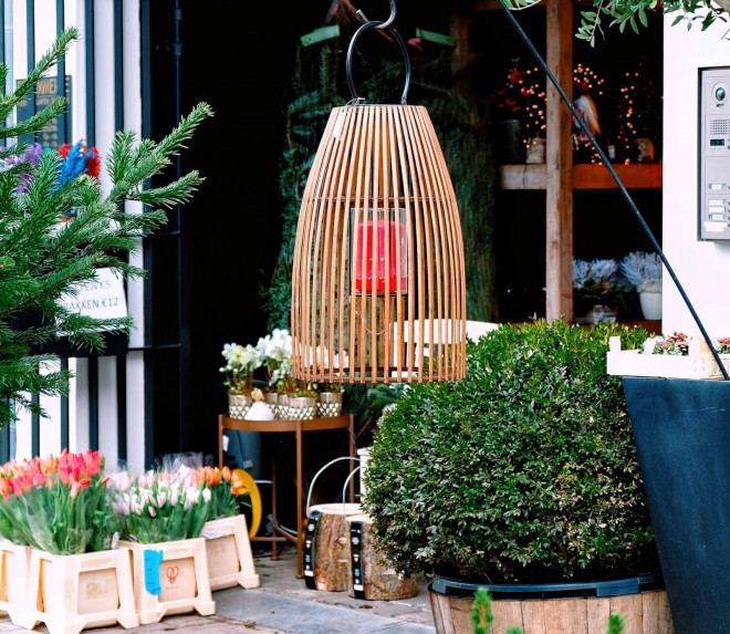 design interior de balcon cu plante naturale