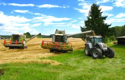 Paradoxul agriculturii româneşti: Suprafeţe întinse cultivate, productivitate redusă