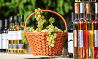 Cum recunoaştem un vin bun în faţa unuia contrafăcut. Diferenţa între DOC şi CMD