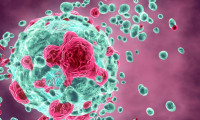 Metoda prin care pot fi distruse celulele canceroase, în toate tipurile de cancer