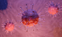 Politico: Unde a ajuns ivermectina, considerată până nu de mult leacul-minune împotriva coronavirusului