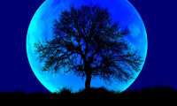 Superluna Albastră, pe cer. Fenomenul astronomic inedit va mai avea loc abia în 2037